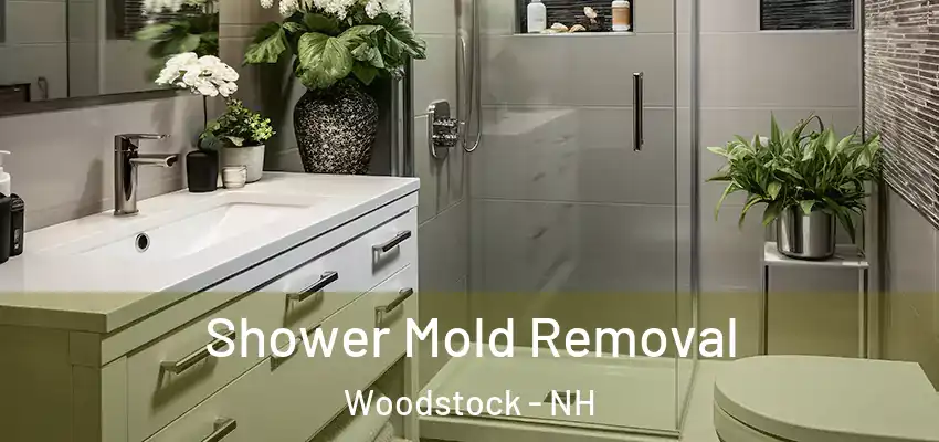 Shower Mold Removal Woodstock - NH